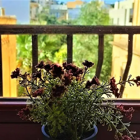 Appartamento Modern 1br With 2 Balconies - Spinola & Exiles Bay Area